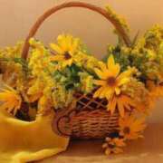 ヒメ日記 2025/05/05 14:08 投稿 なるみ 丸妻 横浜本店