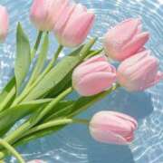 ヒメ日記 2025/07/14 07:01 投稿 なるみ 丸妻 横浜本店