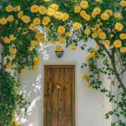 ヒメ日記 2025/07/24 18:18 投稿 なるみ 丸妻 横浜本店