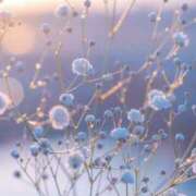 ヒメ日記 2025/08/10 16:41 投稿 なるみ 丸妻 横浜本店