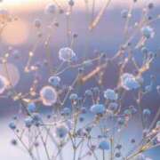 ヒメ日記 2025/08/27 13:34 投稿 なるみ 丸妻 横浜本店