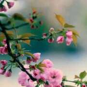 ヒメ日記 2025/09/02 19:07 投稿 なるみ 丸妻 横浜本店