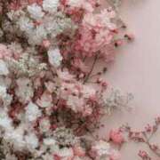 ヒメ日記 2025/10/18 13:55 投稿 なるみ 丸妻 横浜本店