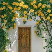 ヒメ日記 2025/11/03 16:15 投稿 なるみ 丸妻 横浜本店