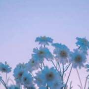 ヒメ日記 2025/11/03 20:58 投稿 なるみ 丸妻 横浜本店