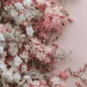 ヒメ日記 2025/11/04 15:27 投稿 なるみ 丸妻 横浜本店