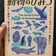 ヒメ日記 2025/11/18 20:30 投稿 なるみ 丸妻 横浜本店