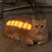 ヒメ日記 2025/11/22 23:01 投稿 なるみ 丸妻 横浜本店