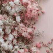 ヒメ日記 2025/11/25 16:54 投稿 なるみ 丸妻 横浜本店