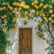 ヒメ日記 2025/11/27 16:26 投稿 なるみ 丸妻 横浜本店