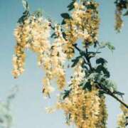 ヒメ日記 2025/12/27 15:26 投稿 なるみ 丸妻 横浜本店