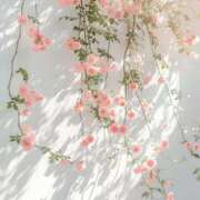 ヒメ日記 2025/12/29 15:55 投稿 なるみ 丸妻 横浜本店