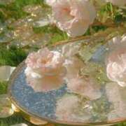 ヒメ日記 2025/12/30 11:21 投稿 なるみ 丸妻 横浜本店