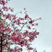 ヒメ日記 2026/02/26 10:49 投稿 なるみ 丸妻 横浜本店