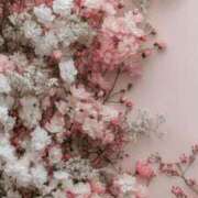 ヒメ日記 2026/03/10 07:12 投稿 なるみ 丸妻 横浜本店