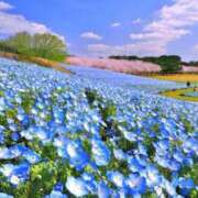 ヒメ日記 2026/03/17 21:42 投稿 なるみ 丸妻 横浜本店