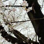 ヒメ日記 2026/03/29 07:01 投稿 なるみ 丸妻 横浜本店