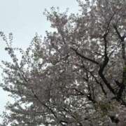 ヒメ日記 2026/04/06 22:34 投稿 なるみ 丸妻 横浜本店