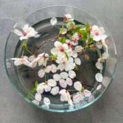 ヒメ日記 2026/04/07 21:05 投稿 なるみ 丸妻 横浜本店