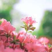 なるみ 🉐 丸妻 横浜本店