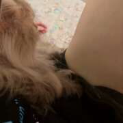 ヒメ日記 2024/12/25 06:17 投稿 れいあ【S級史上最高の逸材】 STELLA TOKYO-ステラトウキョウ-