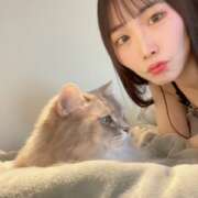 ヒメ日記 2025/01/11 13:10 投稿 れいあ【S級史上最高の逸材】 STELLA TOKYO－ステラトウキョウ－