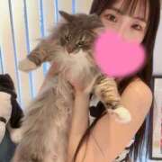 ヒメ日記 2025/02/03 12:49 投稿 れいあ【S級史上最高の逸材】 STELLA TOKYO－ステラトウキョウ－