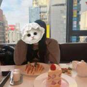 ヒメ日記 2025/02/04 14:10 投稿 れいあ【S級史上最高の逸材】 STELLA TOKYO－ステラトウキョウ－