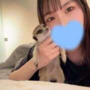 ヒメ日記 2025/04/22 21:04 投稿 れいあ【S級史上最高の逸材】 STELLA TOKYO－ステラトウキョウ－