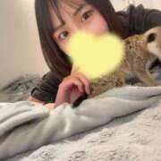 ヒメ日記 2025/05/17 05:14 投稿 れいあ【S級史上最高の逸材】 STELLA TOKYO－ステラトウキョウ－