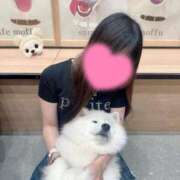 ヒメ日記 2025/06/18 19:15 投稿 れいあ【S級史上最高の逸材】 STELLA TOKYO－ステラトウキョウ－