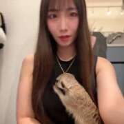 ヒメ日記 2025/06/22 11:52 投稿 れいあ【S級史上最高の逸材】 STELLA TOKYO－ステラトウキョウ－