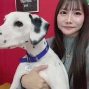 ヒメ日記 2025/11/14 17:26 投稿 れいあ【S級史上最高の逸材】 STELLA TOKYO－ステラトウキョウ－