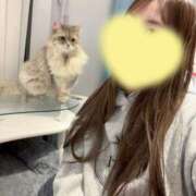 ヒメ日記 2025/11/25 16:42 投稿 れいあ【S級史上最高の逸材】 STELLA TOKYO－ステラトウキョウ－