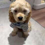 れいあ【S級史上最高の逸材】 昨日はすいません、、、 STELLA TOKYO－ステラトウキョウ－