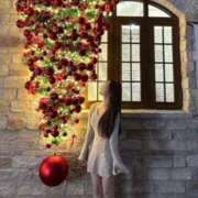 ヒメ日記 2025/02/26 19:47 投稿 北川 澄玲 ティアリズム代官山