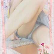 ヒメ日記 2024/12/10 10:15 投稿 桜樹綾香 プルデリR40