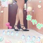 ヒメ日記 2025/02/03 10:30 投稿 桜樹綾香 プルデリR40