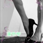 ヒメ日記 2025/03/07 20:30 投稿 桜樹綾香 プルデリR40