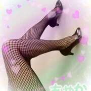 ヒメ日記 2025/03/09 14:18 投稿 桜樹綾香 プルデリR40