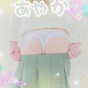 ヒメ日記 2025/03/28 15:10 投稿 桜樹綾香 プルデリR40