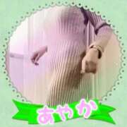 ヒメ日記 2025/04/05 10:30 投稿 桜樹綾香 プルデリR40滋賀店