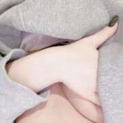 ヒメ日記 2025/02/14 06:00 投稿 すもも始動 グッドスマイル