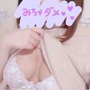 ヒメ日記 2025/04/08 17:01 投稿 すもも始動 グッドスマイル