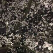 ヒメ日記 2025/04/10 20:00 投稿 すもも始動 グッドスマイル