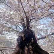 ヒメ日記 2025/04/12 20:01 投稿 すもも始動 グッドスマイル