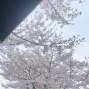 ヒメ日記 2025/04/20 16:30 投稿 すもも始動 グッドスマイル