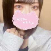 ヒメ日記 2025/06/19 13:15 投稿 すもも始動 グッドスマイル