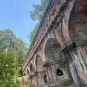 ヒメ日記 2025/07/11 12:30 投稿 すもも始動 グッドスマイル