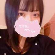 ヒメ日記 2025/07/18 06:00 投稿 すもも始動 グッドスマイル